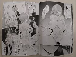 Page 10: 009.jpg | possession | View Page!