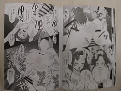 Page 13: 012.jpg | possession | View Page!