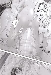 Page 15: 014.jpg | secret Agfter | View Page!