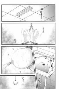 Page 9: 008.jpg | shiori dai-yon-shou futarime no jushin shinsouban | View Page!