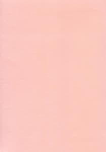 Page 5: 004.jpg | Katakute Futokute Atsui no o | View Page!