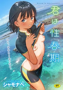 Page 1: 000.jpg | Kimi wa Seishunki | View Page!