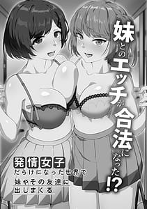 Page 4: 003.jpg | Namaiki Imouto to Gouhou Play Sennou Denpa de Tanetsuke Ichaicha Seikatsu | View Page!