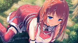 アエリアル・ライフ / Image 1