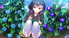 アサガオは夜を識らない。 / Image 1