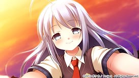 ボクスキ！ 男の娘を好きって言ってよ！ / Image 7
