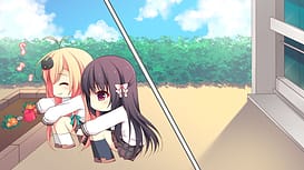 晴のちきっと菜の花びより / Image 11