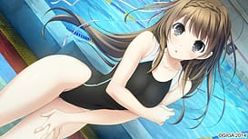 ハルキス / Image 3
