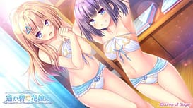 遥か碧の花嫁に / Image 6