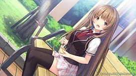 響野さん家はエロゲ屋さん！ / Image 5