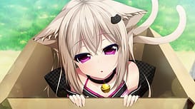 家神女房～名無し猫又は神Tuber～ / Image 1