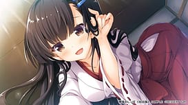 神様のしっぽ ～干支神さまたちの恩返し～ / Image 9