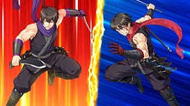 乱れ雪月華 ～儚く散る細雪～ / Image 9