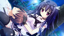 ナツイロココロログ / Image 6