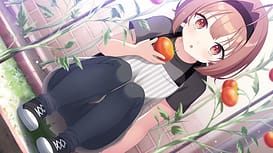 ネコと女子寮せよ！ / Image 9