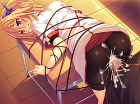 最淫Security SeiCoM / Image 1