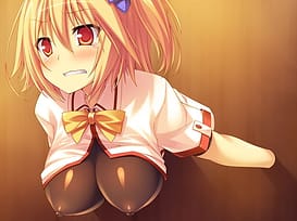 最淫Security SeiCoM / Image 2