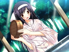 妹恋～しすこい～ / Image 3