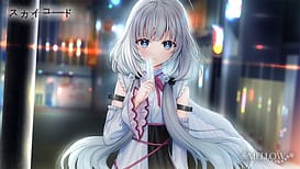 スカイコード / Image 1