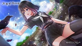 スカイコード / Image 2