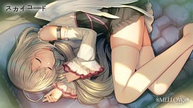 スカイコード / Image 7