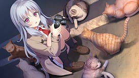 海と雪のシアンブルー / Image 5