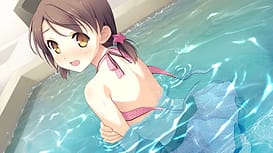 Your Diary / Image 5