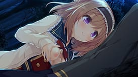 pieces渡り鳥のソムニウム / Image 8