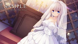 pieces 揺り籠のカナリア / Image 3