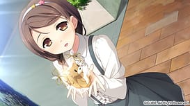 your diary ＋H / Image 6