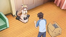 バカな妹を利口にするのは俺の××だけな件について子猫も大好き！！ 御津井 芭華にゃんこな姿でぺろぺろしちゃうぞ編 / Image 10