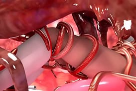 ヒロイン触手大作戦 / Image 11