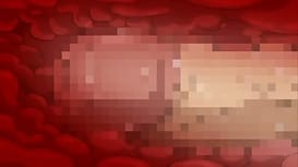 花粉少女注意報！～THE ANIMATION～ ATTACK NO.4「ドキドキ花粉少女ランド」 / Image 9