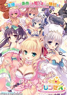Love Love  Princess -Ohime-sama ga Ippai! Motto Ecchi na Harem Seikatsu!!: Related Title
