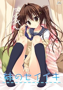 Imouto no Seiiki: Related Title