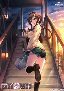 Aikagi: Related Title