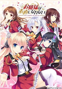 Ojou-sama wa Sunao ni Narenai: Related Title