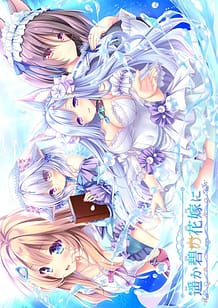 Download Haruka Ao no Hanayome ni