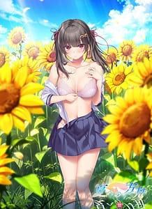 Download Natsu e no Hakobune III