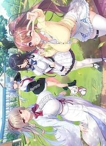 Download Homerarete Nobiru SR Shoujo-tachi