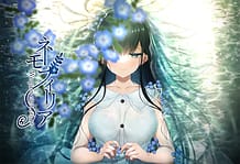 ネモフィリア-We pass each other-: View Cover!
