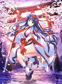 鏡界上のフラグメント～アマテラス編～: View Cover!