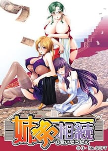 姉弟相続: View Cover!