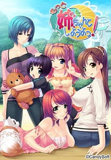 もっと 姉、ちゃんとしようよっ!: View Cover!
