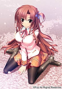 さくらのしっぽ～さくらテイルファンディスク～: View Cover!