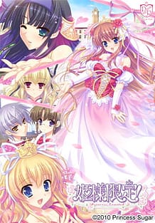 姫様限定！～Princess Limited～ : View Cover!