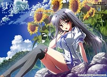 夏空のペルセウス: View Cover!