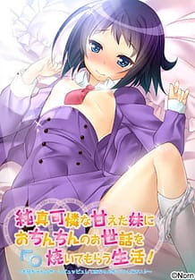 純真可憐な甘えた妹におちんちんのお世話を焼いてもらう生活！ ～お兄ちゃんのせーしピュッピュして赤ちゃん作ってください♪～: View Cover!