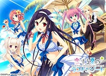 恋する夏のラストリゾート: View Cover!