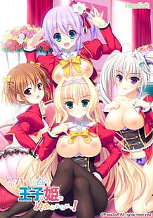 毎日がハーレムすぎて王子は姫を決められない！: View Cover!